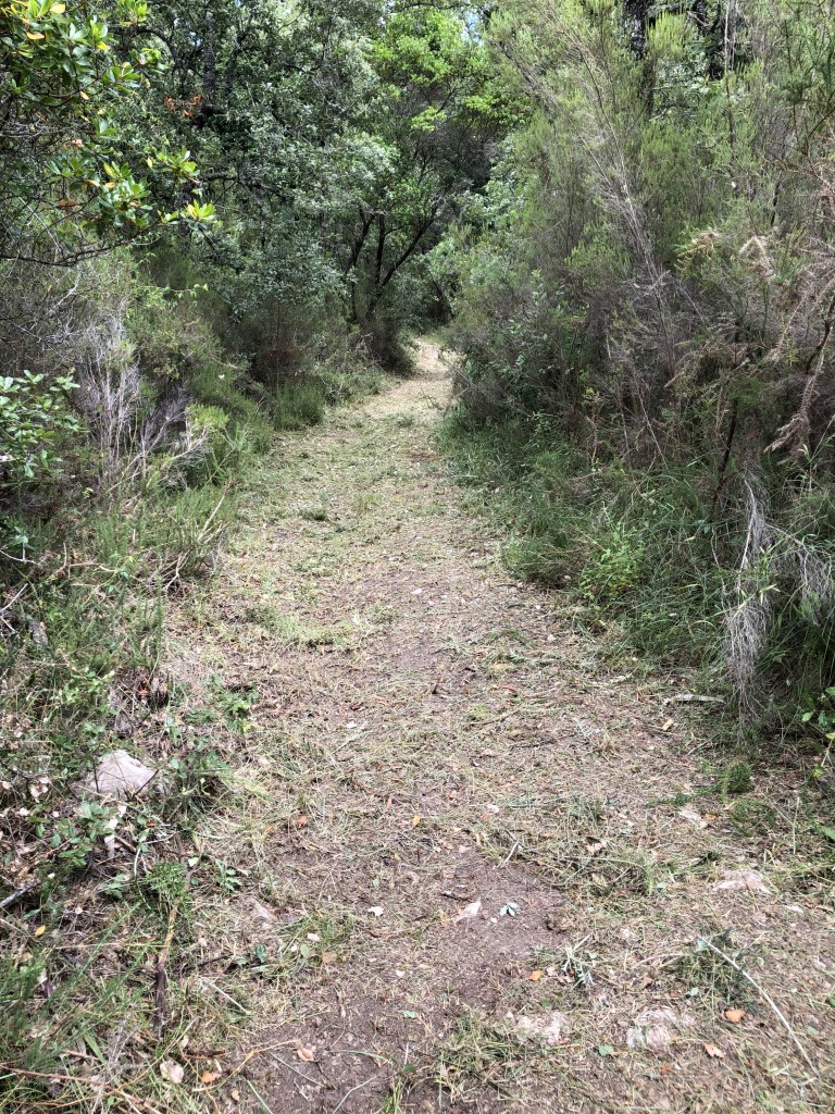 IMG 0711