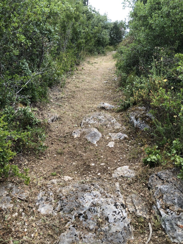 IMG 0713