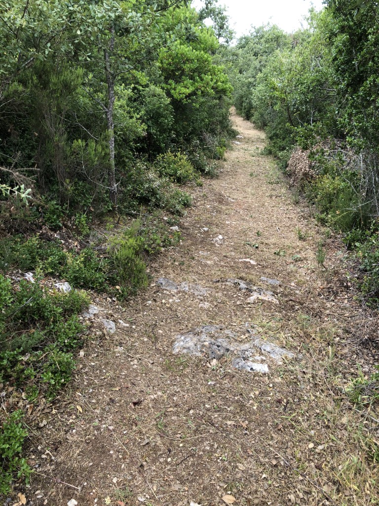 IMG 0714