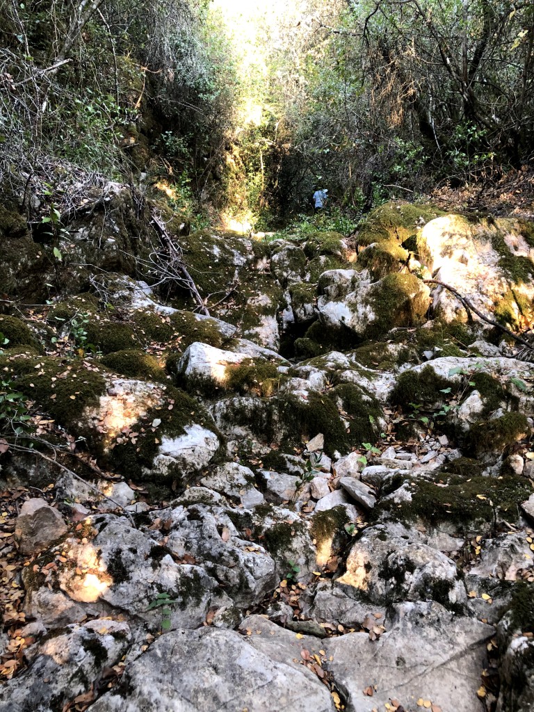 IMG 0942